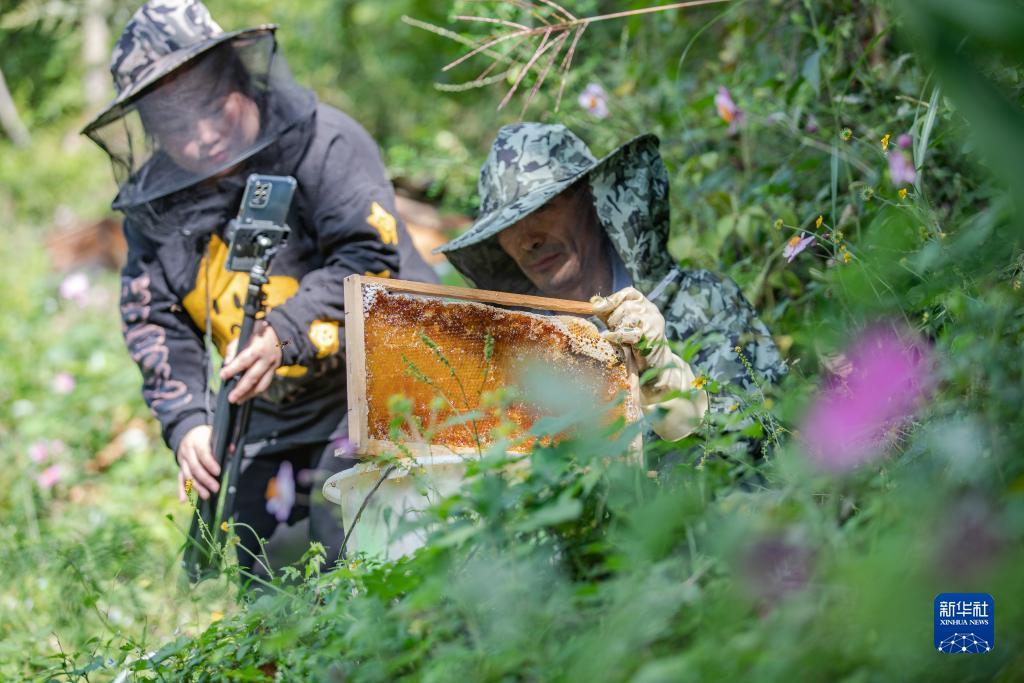 ag8游戏登陆